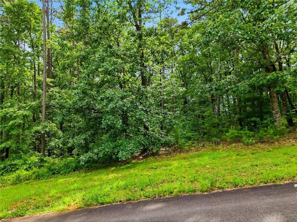 unimproved land for sale at Lot 11 Weeks Dr., Ellijay, GA 30540 — photo 7
