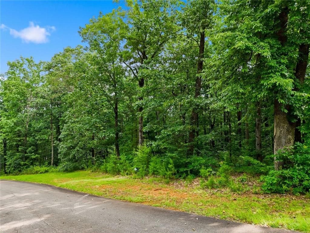 unimproved land for sale at Lot 11 Weeks Dr., Ellijay, GA 30540 — photo 8