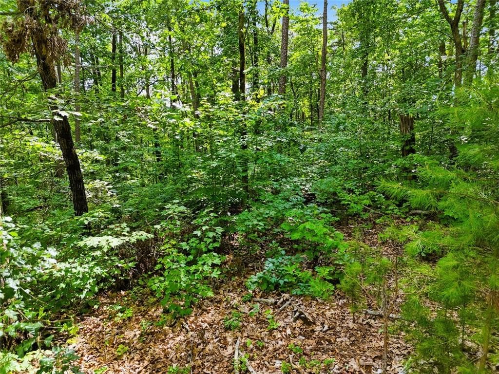 unimproved land for sale at Lot 11 Weeks Dr., Ellijay, GA 30540 — photo 9
