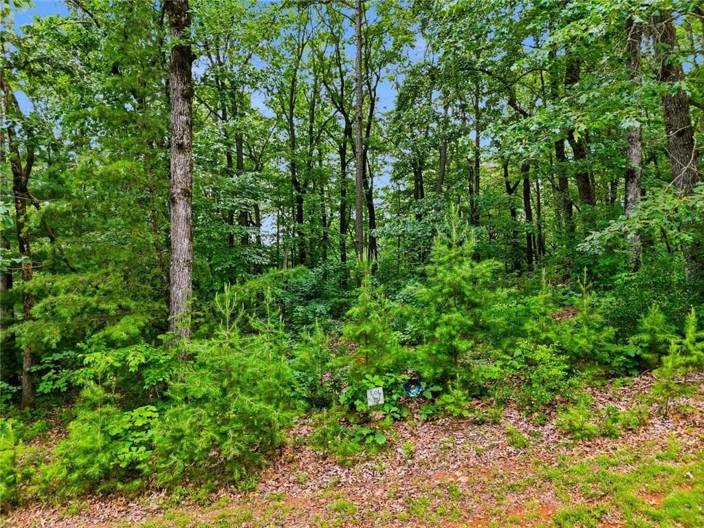 unimproved land for sale at Lot 11 Weeks Dr., Ellijay, GA 30540 — photo 10