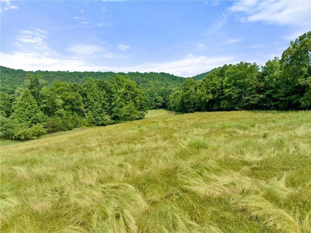 unimproved land for sale at 00 Freeman View Trail, Cleveland, GA 30528 — photo 10