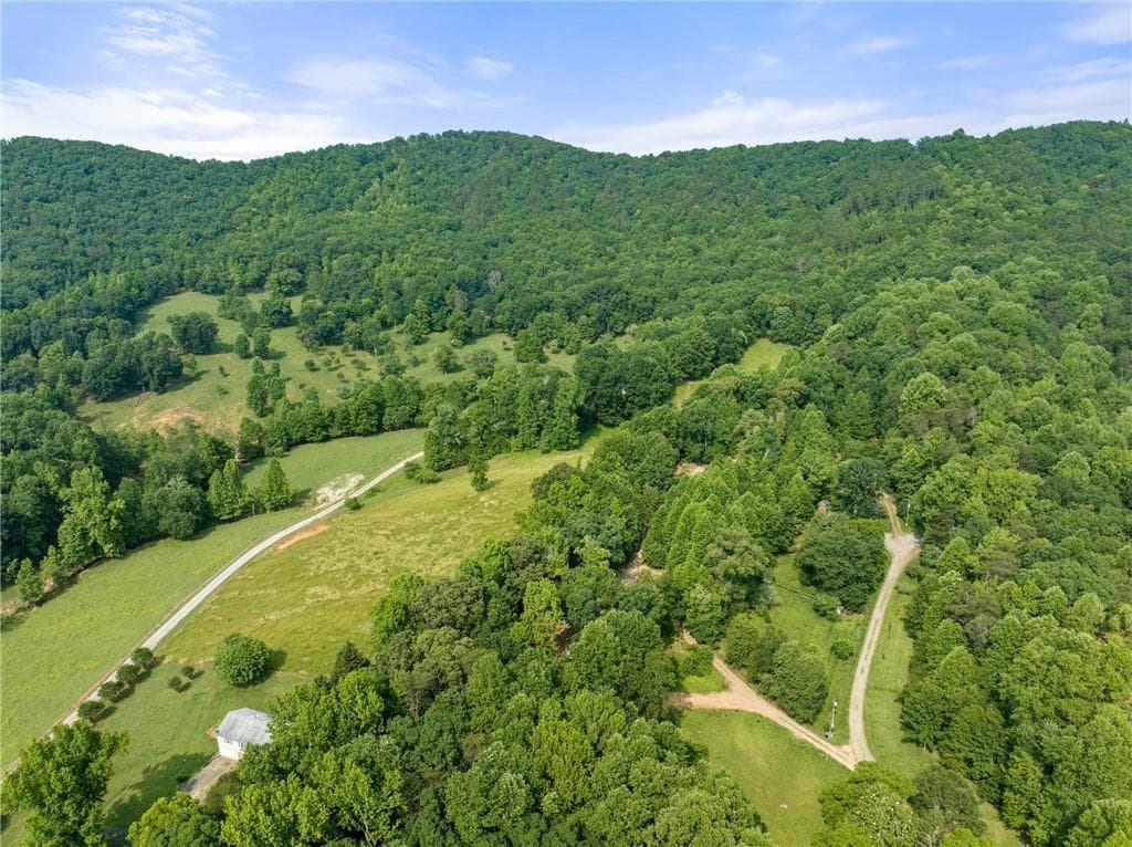 unimproved land for sale at 00 Partin Road, Cleveland, GA 30528 — photo 4