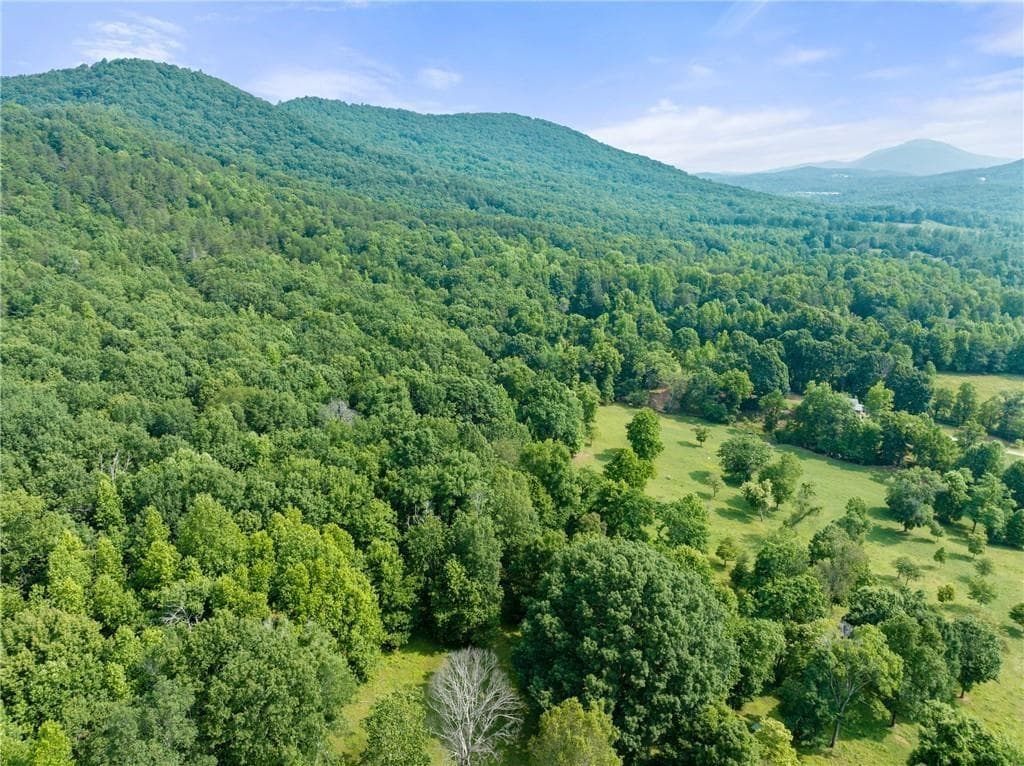 unimproved land for sale at 00 Partin Road, Cleveland, GA 30528 — photo 5