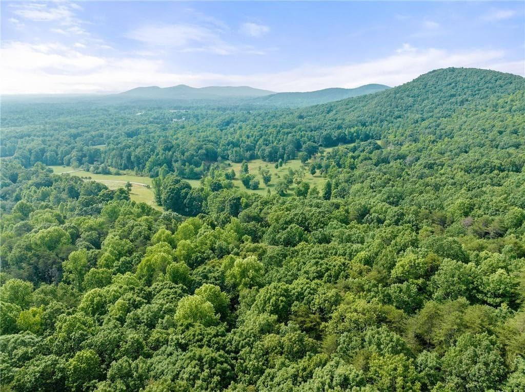 unimproved land for sale at 00 Partin Road, Cleveland, GA 30528 — photo 6