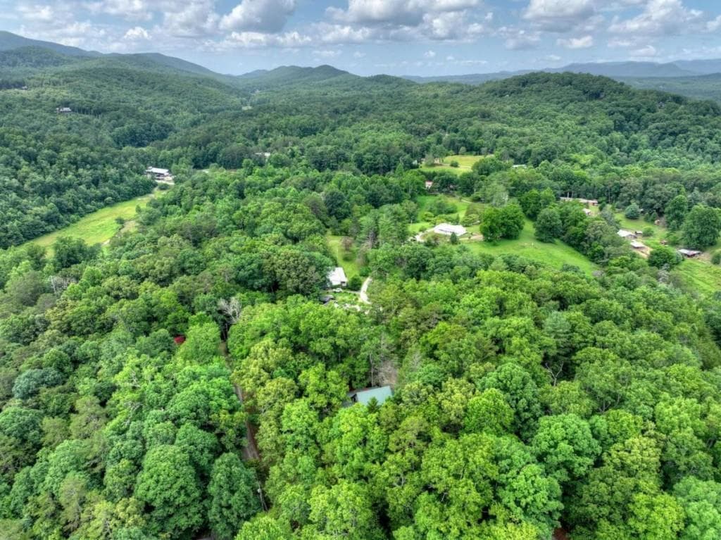 4 bedroom, 4 bathroom, 2,700 sq ft single family residence for sale at 246 Uphill Road, Blue Ridge, GA 30513 — photo 7