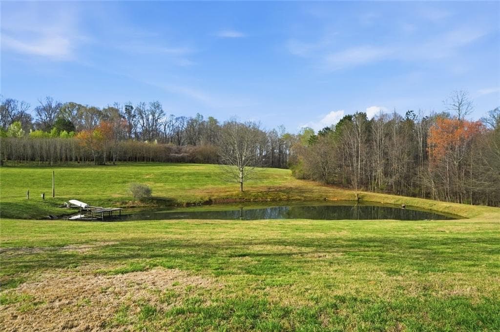 5 bedroom, 4 bathroom unimproved land for sale at 7755 Blacks Mill Road, Dawsonville, GA 30534 — photo 6