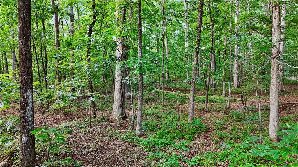 single family residence for sale at 50 Sims Road, Covington, GA 30016 — photo 9