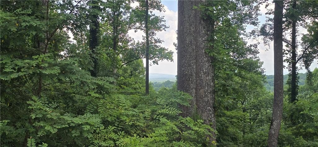 other under contract at 001 Windning Ridge, Blairsville, GA 30512