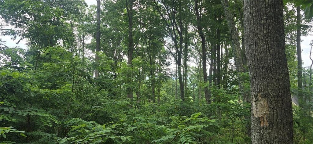 other under contract at 001 Windning Ridge, Blairsville, GA 30512 — photo 2