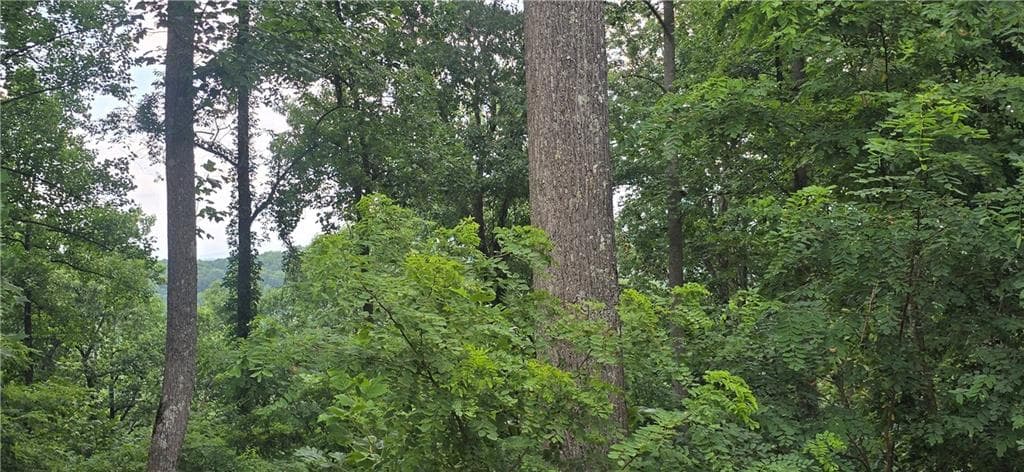 other under contract at 001 Windning Ridge, Blairsville, GA 30512 — photo 5