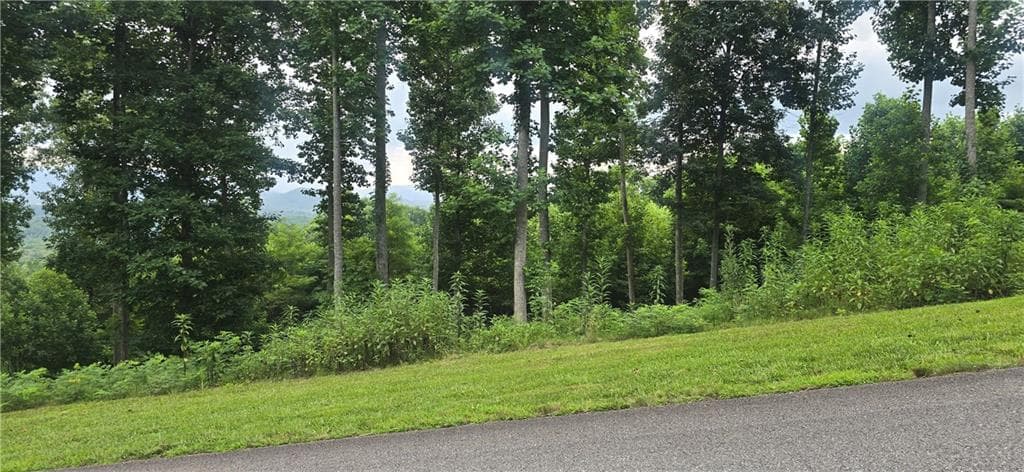 other under contract at 001 Windning Ridge, Blairsville, GA 30512 — photo 8