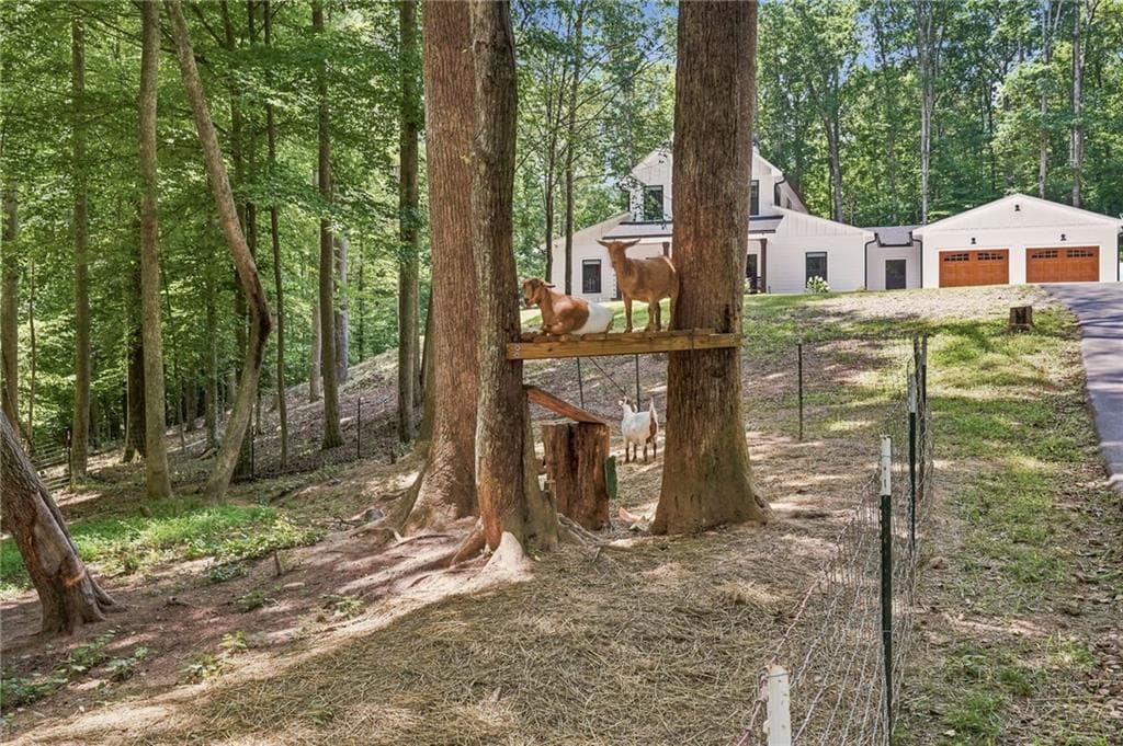 3 bedroom, 3 bathroom, 2,574 sq ft single family residence for sale at 1684 Fairview Road, Jasper, GA 30143 — photo 5