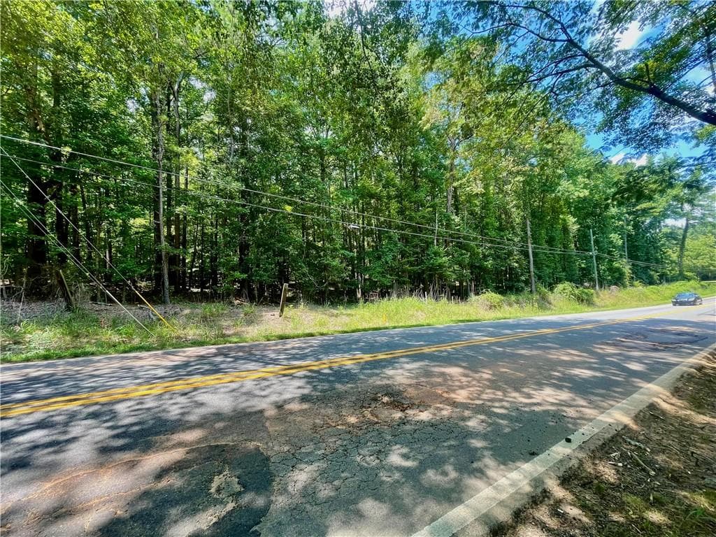 unimproved land for sale at 3961 Panola Road, Lithonia, GA 30038 — photo 4