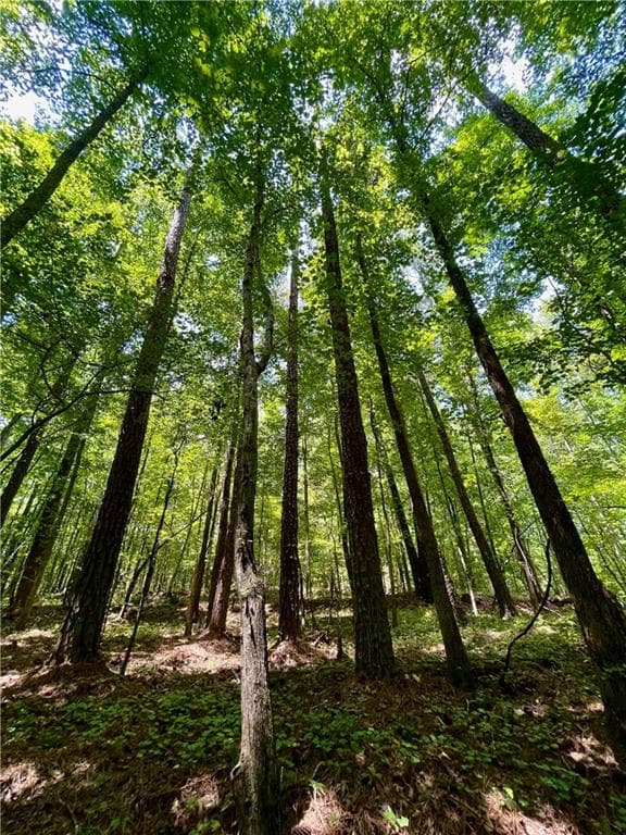unimproved land for sale at 3961 Panola Road, Lithonia, GA 30038 — photo 5