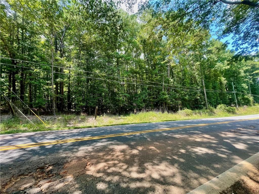unimproved land for sale at 3961 Panola Road, Lithonia, GA 30038 — photo 6