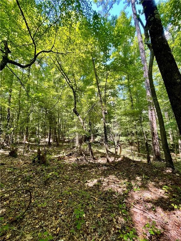 unimproved land for sale at 3961 Panola Road, Lithonia, GA 30038 — photo 10
