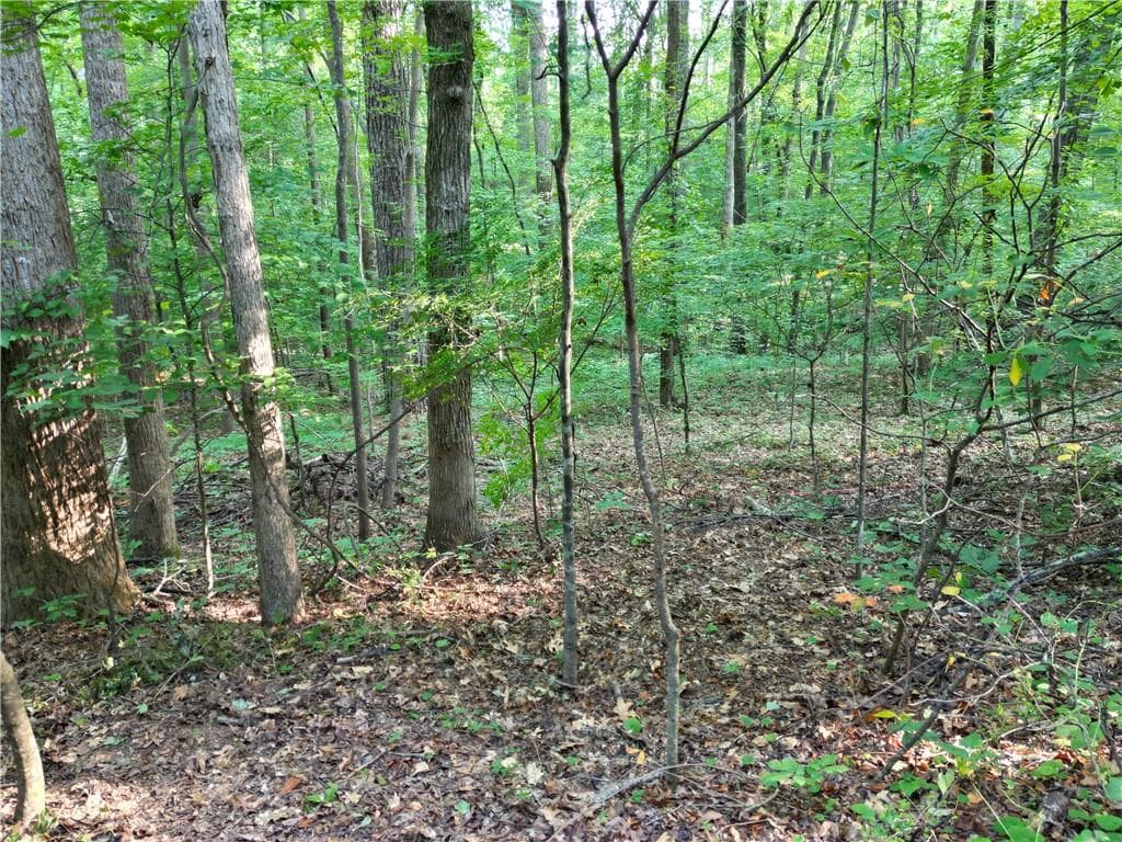 single family residence for sale at 0 Glenell Drive, Woodstock, GA 30189 — photo 4