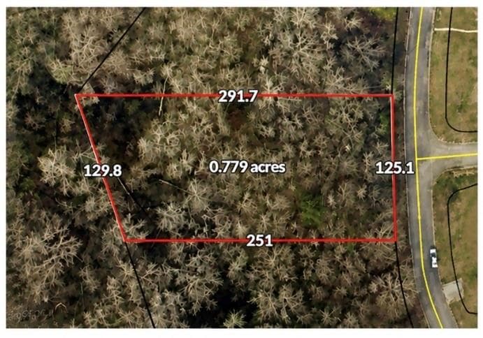 unimproved land for sale at 807 Anna Kathryn Drive, Stockbridge, GA 30281 — photo 2
