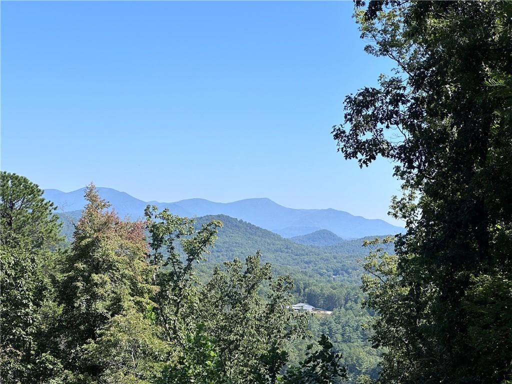single family residence for sale at 0 Ivy Ridge, Clarkesville, GA 30523 — photo 3