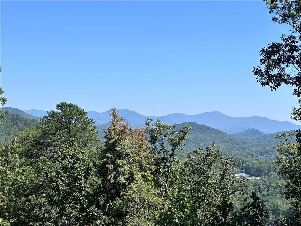 single family residence for sale at 0 Ivy Ridge, Clarkesville, GA 30523 — photo 6