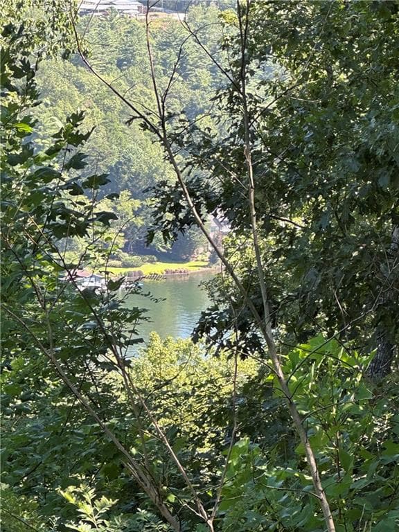 single family residence for sale at 0 Ivy Ridge, Clarkesville, GA 30523 — photo 8