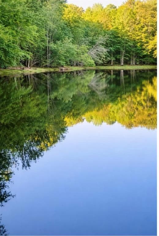 unimproved land for sale at 0 Malone Road, Fayetteville, GA 30215