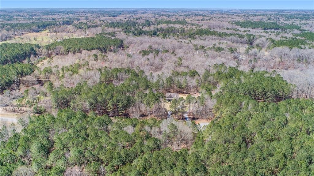 unimproved land for sale at 0 Malone Road, Fayetteville, GA 30215 — photo 3