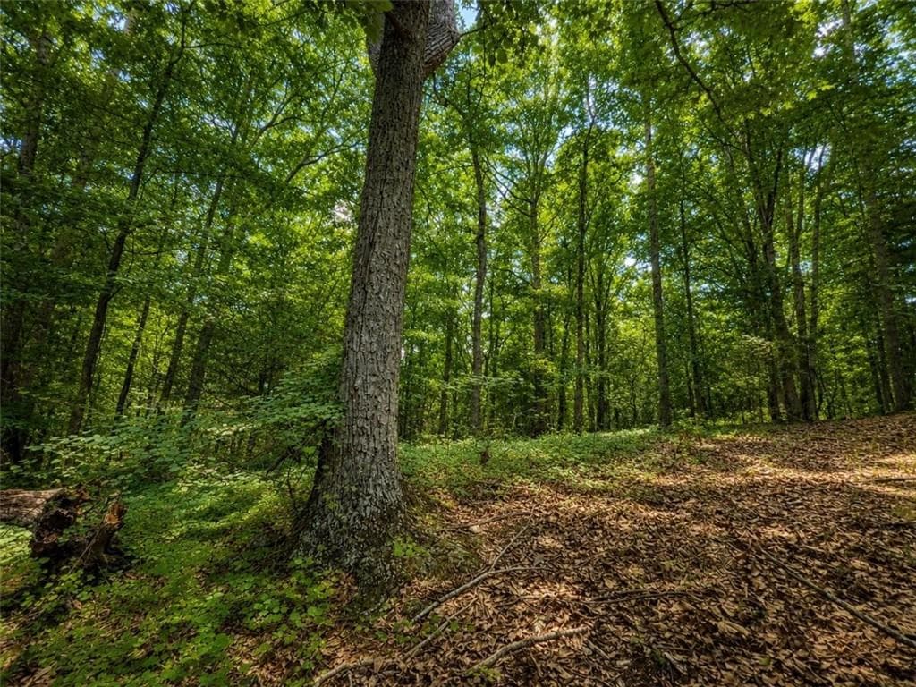 other for sale at 0 Gadsden Road, Cave Spring, GA 30124 — photo 10
