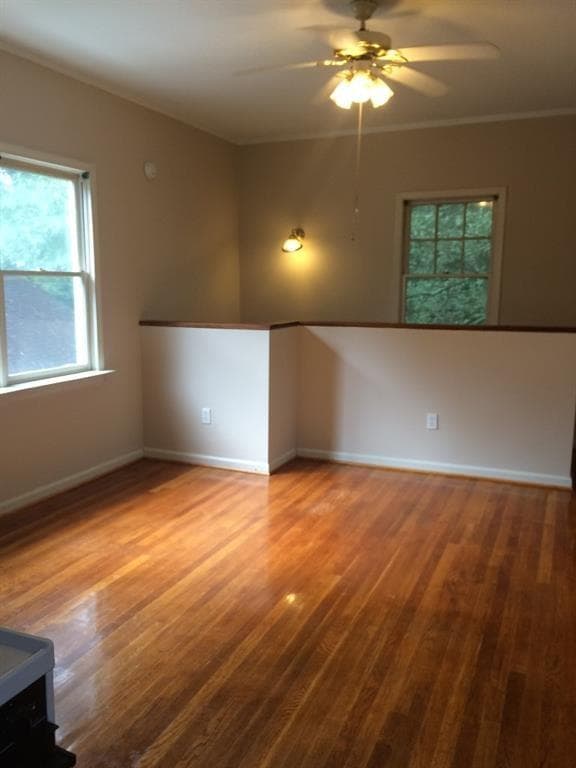 1 bedroom, 1 bathroom, 950 sq ft other for rent at 1171 E Rock Springs Road A, Atlanta, GA 30306 for $1,150 a month — photo 3