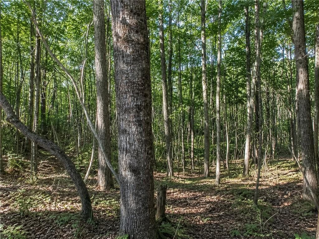 other for sale at Lot 26 Waldrip Road, Dawsonville, GA 30534 — photo 2