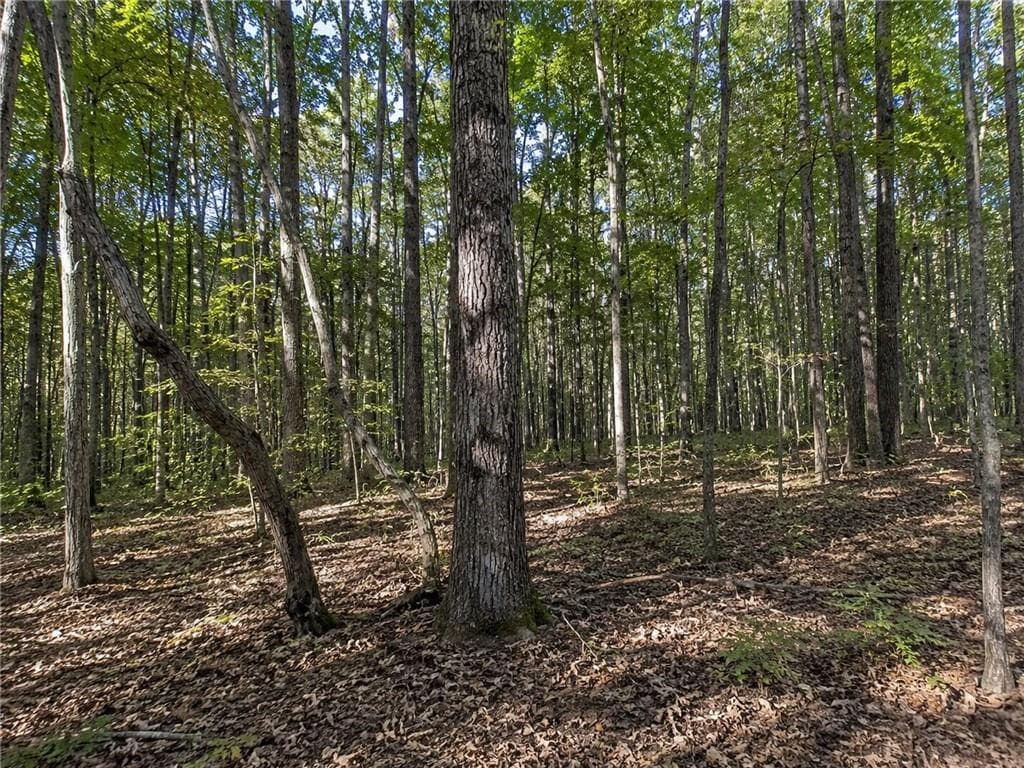 other for sale at Lot 26 Waldrip Road, Dawsonville, GA 30534 — photo 3