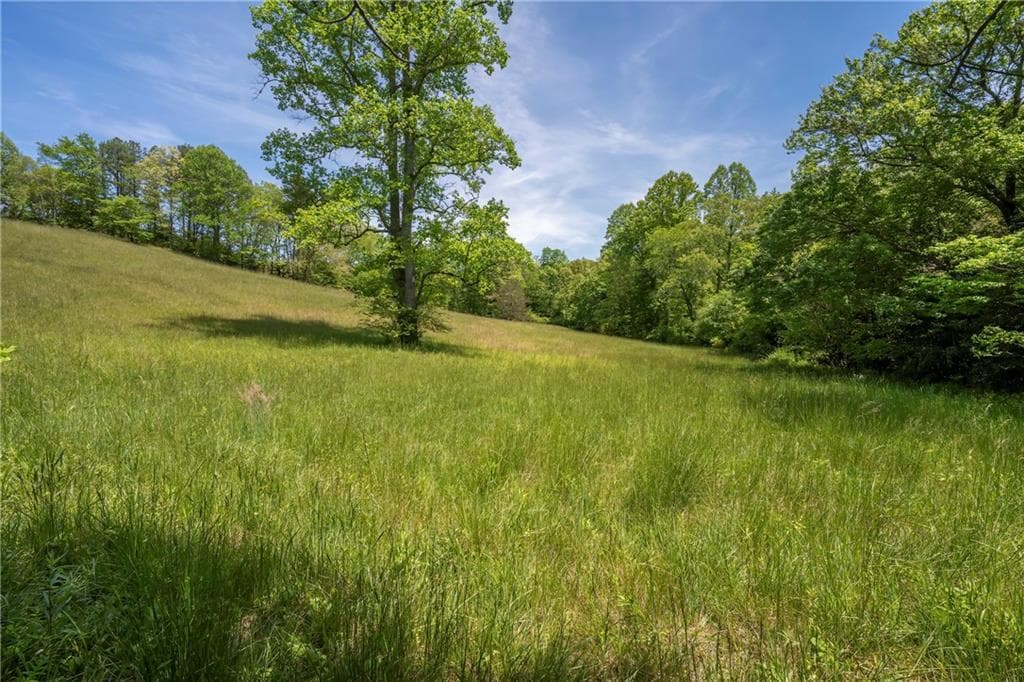 single family residence under contract at LT1-1A Jonica Gap Road, Mineral Bluff, GA 30559 — photo 9