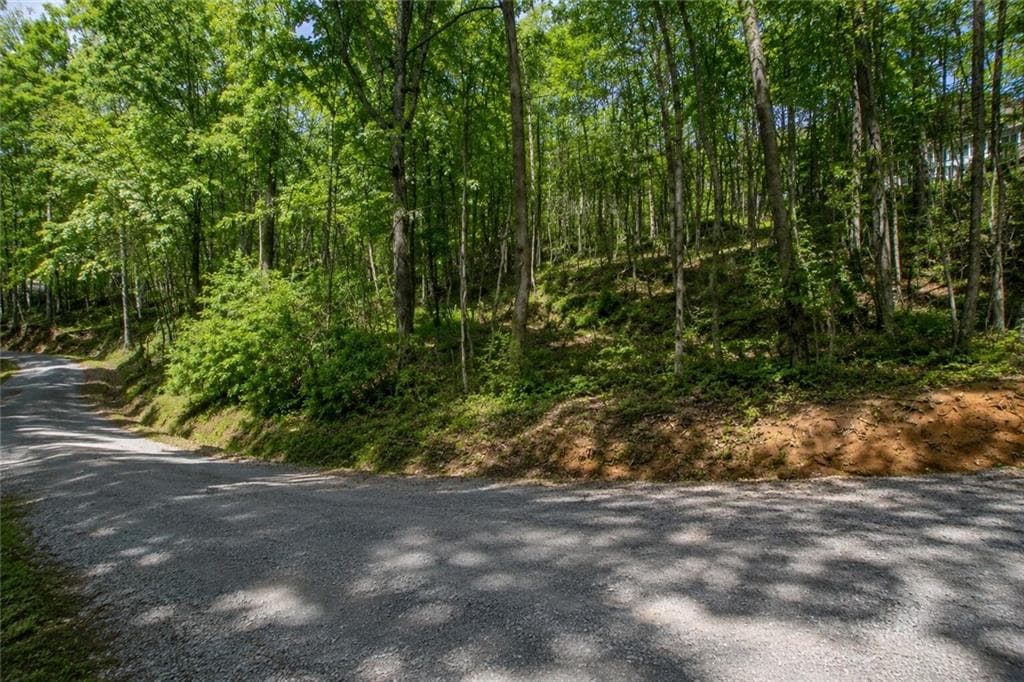 other for sale at Lot 24 Waldrip Road, Dawsonville, GA 30534 — photo 5