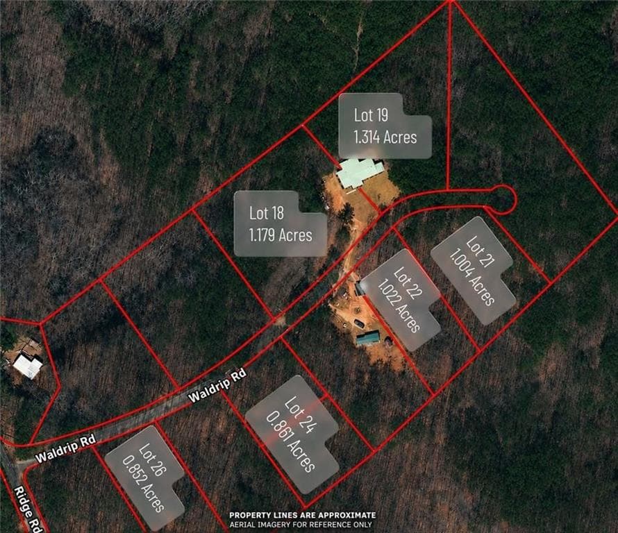 other for sale at Lot 24 Waldrip Road, Dawsonville, GA 30534 — photo 9