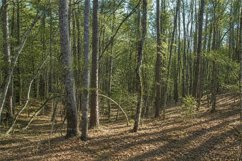 other for sale at Lot 24 Waldrip Road, Dawsonville, GA 30534 — photo 1 of 9