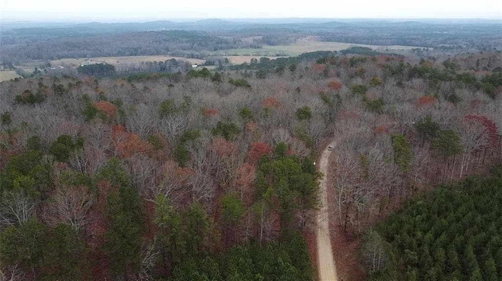 unimproved land for sale at 00 Treat Mountain Road, Cedartown, GA 30125 — photo 3