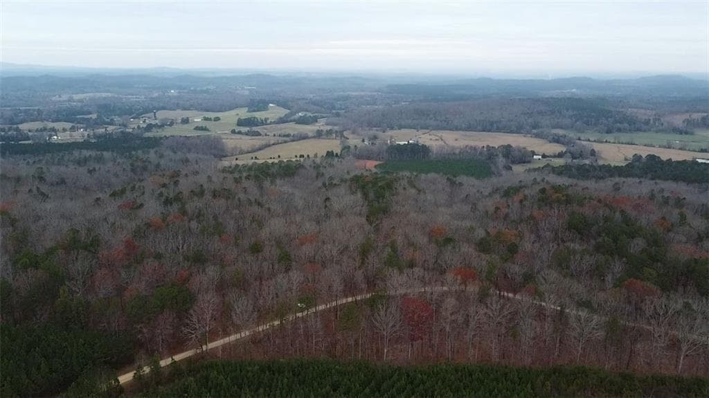 unimproved land for sale at 00 Treat Mountain Road, Cedartown, GA 30125 — photo 4