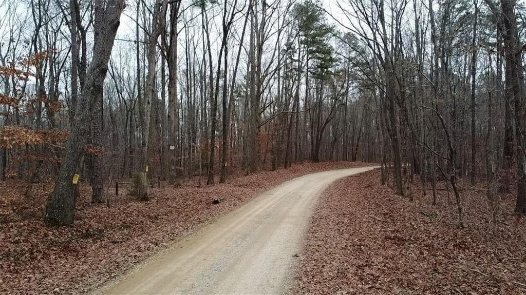 unimproved land for sale at 00 Treat Mountain Road, Cedartown, GA 30125 — photo 6