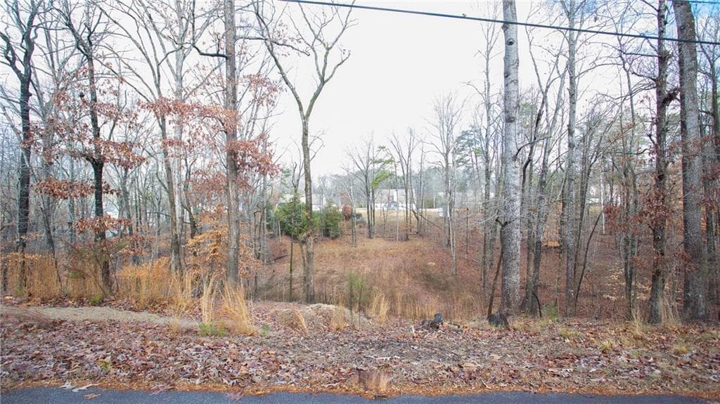 unimproved land for sale at 3697 Cameron Circle, Gainesville, GA 30506 — photo 8