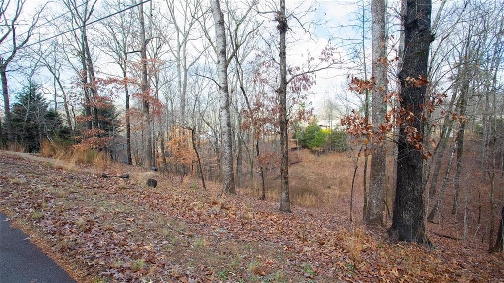 unimproved land for sale at 3697 Cameron Circle, Gainesville, GA 30506 — photo 9