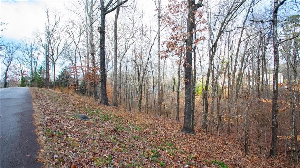 unimproved land for sale at 3697 Cameron Circle, Gainesville, GA 30506 — photo 10