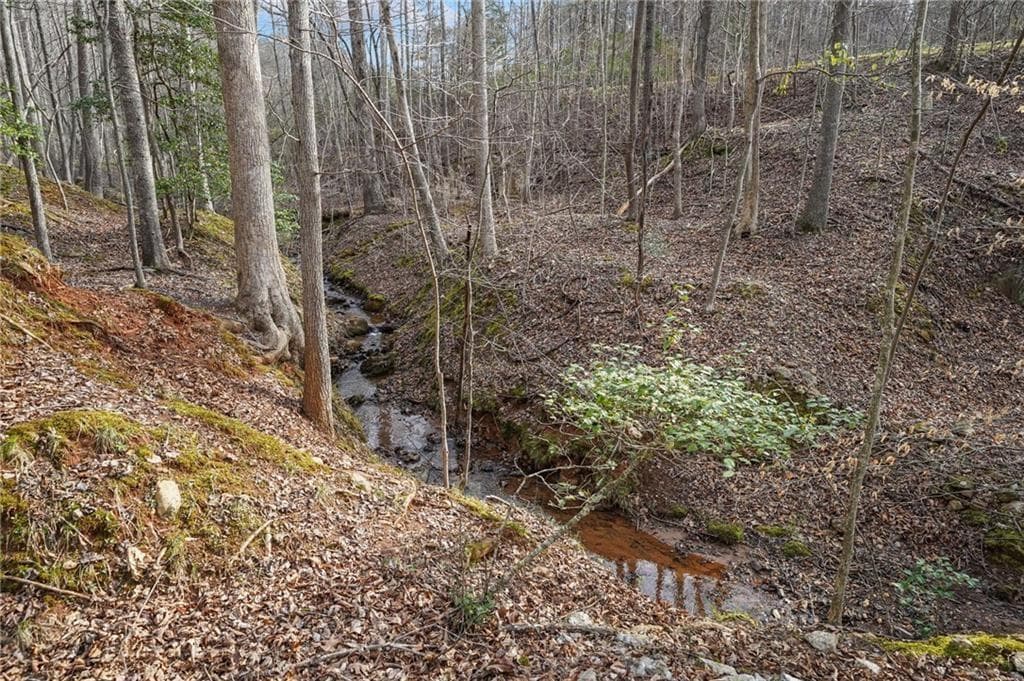 single family residence for sale at 50 Old Stamp Mill Road, Dahlonega, GA 30533 — photo 7
