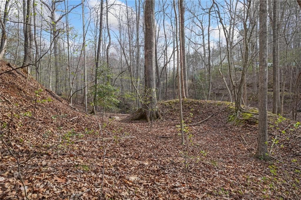single family residence for sale at 50 Old Stamp Mill Road, Dahlonega, GA 30533 — photo 8