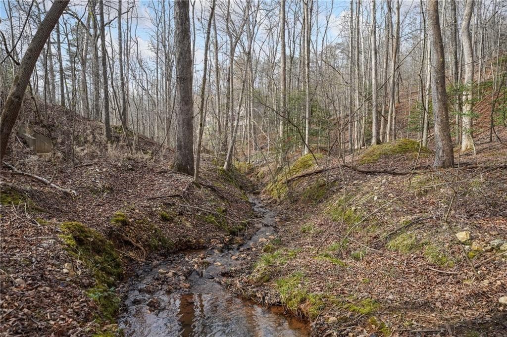 single family residence for sale at 50 Old Stamp Mill Road, Dahlonega, GA 30533 — photo 10