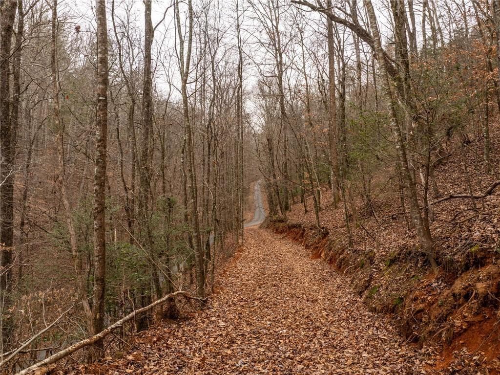 other for sale at 377 Soldiers Path, Dahlonega, GA 30533 — photo 3