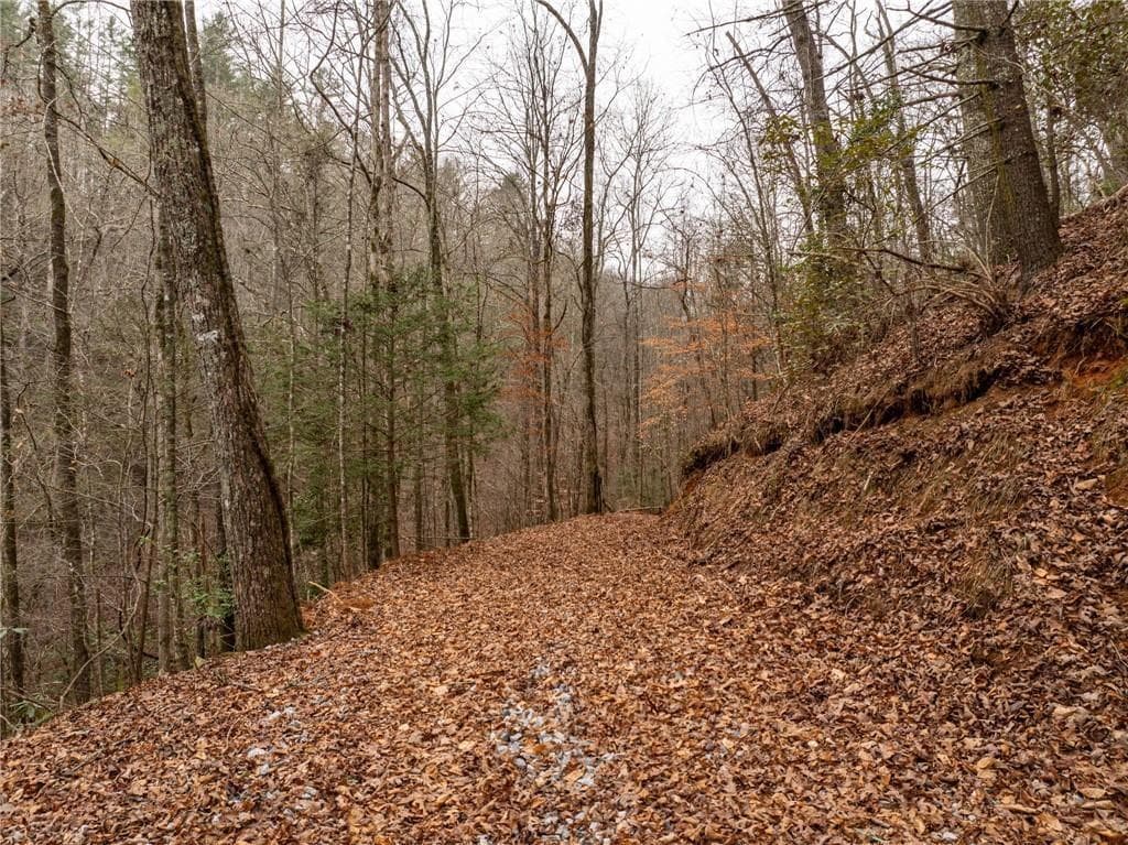 other for sale at 377 Soldiers Path, Dahlonega, GA 30533 — photo 5