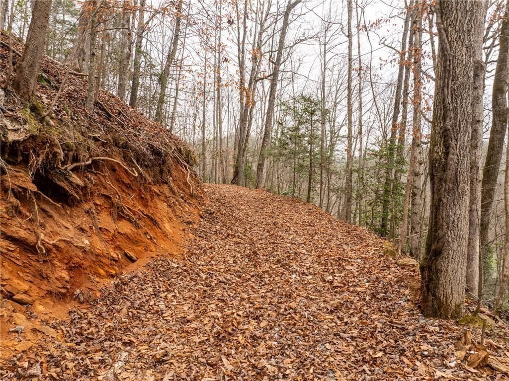 other for sale at 377 Soldiers Path, Dahlonega, GA 30533 — photo 6
