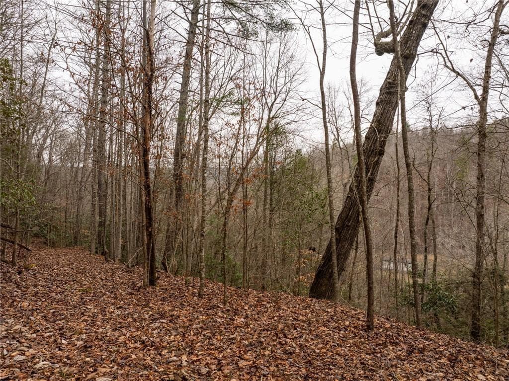 other for sale at 377 Soldiers Path, Dahlonega, GA 30533 — photo 7