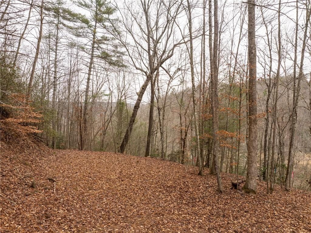 other for sale at 377 Soldiers Path, Dahlonega, GA 30533 — photo 8