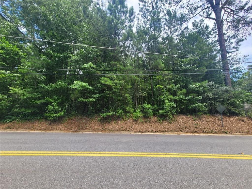 unimproved land for sale at 1920 County Line Road, Atlanta, GA 30331 — photo 2